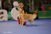 /album/bianca/a417582-266067826796048-100001784991997-644203-941255354-n-jpg/