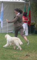 /album/niebla/a277695-169711243098374-4085847-o-jpg/