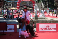 /album/pato/a266554-158148614254637-100001784991997-349041-4194058-o-jpg/