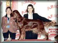 /album/rula/a300400-212456198823878-100001784991997-509676-1009391467-n-jpg/