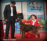 /album/rula/a262090-408543592548470-925334110-n-jpg/