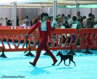 /album/england/a267587-391152307620932-1463618103-n-jpg/