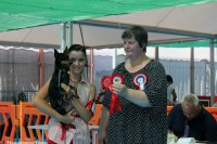 /album/england/a397218-391151864287643-280613825-n-jpg/