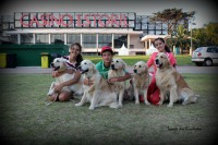 /album/momentos-especiais-special-moments/a577285-530434700359358-657497090-n-jpg/