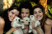/album/momentos-especiais-special-moments/a644426-459274247475404-1329109972-n-jpg/