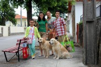 /album/momentos-especiais-special-moments/a979995-514309545305207-892377724-o-jpg/