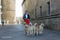 /album/momentos-especiais-special-moments/a1240424-539559249446903-875863297-n-jpg/
