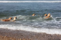 /album/momentos-especiais-special-moments/a1272225-541613502574811-1506448347-o-jpg/