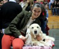 /album/cory-canin-do-valle-da-fonte-bianca/a391071-222752441127587-100001784991997-538998-1904005779-n-jpg/