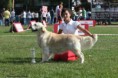 /album/cory-canin-do-valle-da-fonte-bianca/a427301-378199872249509-1384060660-n-jpg/