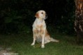 /album/nanccy-safira/a155570-402936553109174-2031951718-n-jpg/