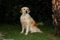 /album/nanccy-safira/a530664-402936623109167-1504154504-n-jpg/