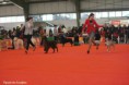 /album/galeria-de-fotos-multi-ch-flannans-angel-star/a45713-463246840411478-30530195-n-jpg/