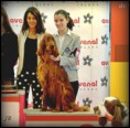 /album/galeria-de-fotos-multi-ch-flannans-angel-star/a253708-463963967006432-32247218-n-jpg/