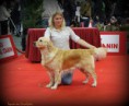 /album/nanccy-safira/a1450698-566024333467061-615532039-n-jpg/