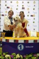 /album/cory-canin-do-valle-da-fonte-bianca/a310186-486093214793507-1665079402-n-jpg/