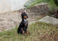/album/lusi/a13611-805224922880333-4509063142330908768-n-jpg/