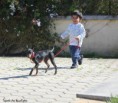 /album/lusi/a20887-818483034887855-4439508226807410657-n-jpg/