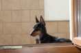 /album/lusi/a1658448-801780066558152-634377731052360017-o-jpg/