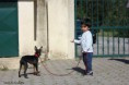 /album/lusi/a10410488-818483131554512-7678325489374982520-n-jpg/