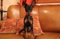 /album/lusi/a10424340-778351022234390-3118405633966844205-n-jpg/