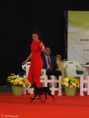 /album/lusi/movimento-jpg/