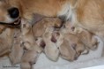 /album/bebes-da-safira-e-do-robyn/img-2463-jpgarra-jpg/