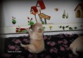 /album/bebes-da-safira-e-do-robyn/bebe1-jpg/